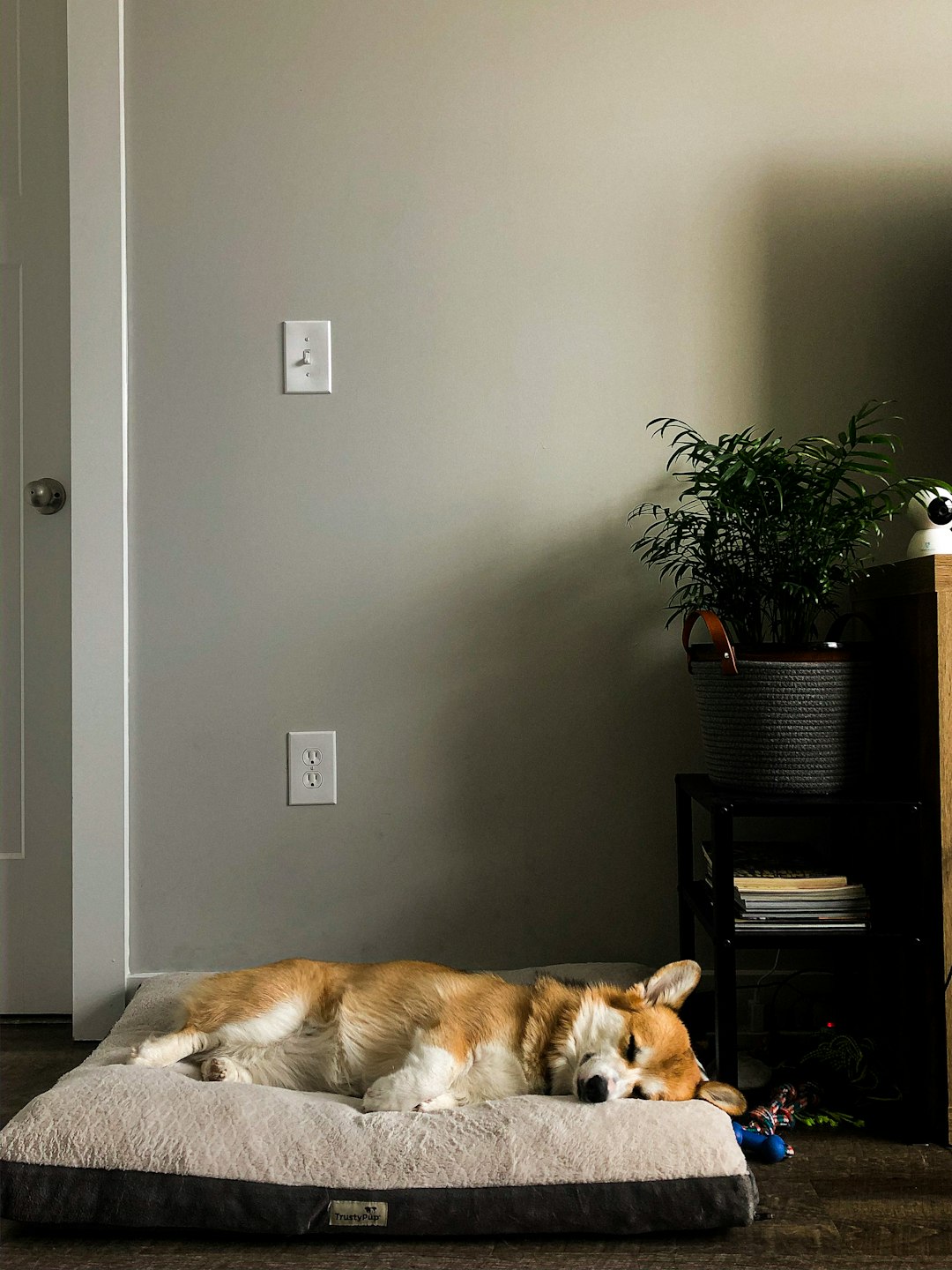 Your Sleep Position Reveals Personality Traits (image credits: unsplash)