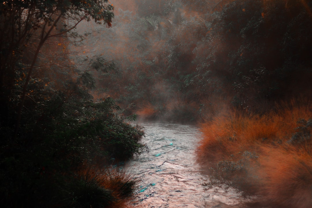 Riverside: California's Fire Front Line (image credits: unsplash)