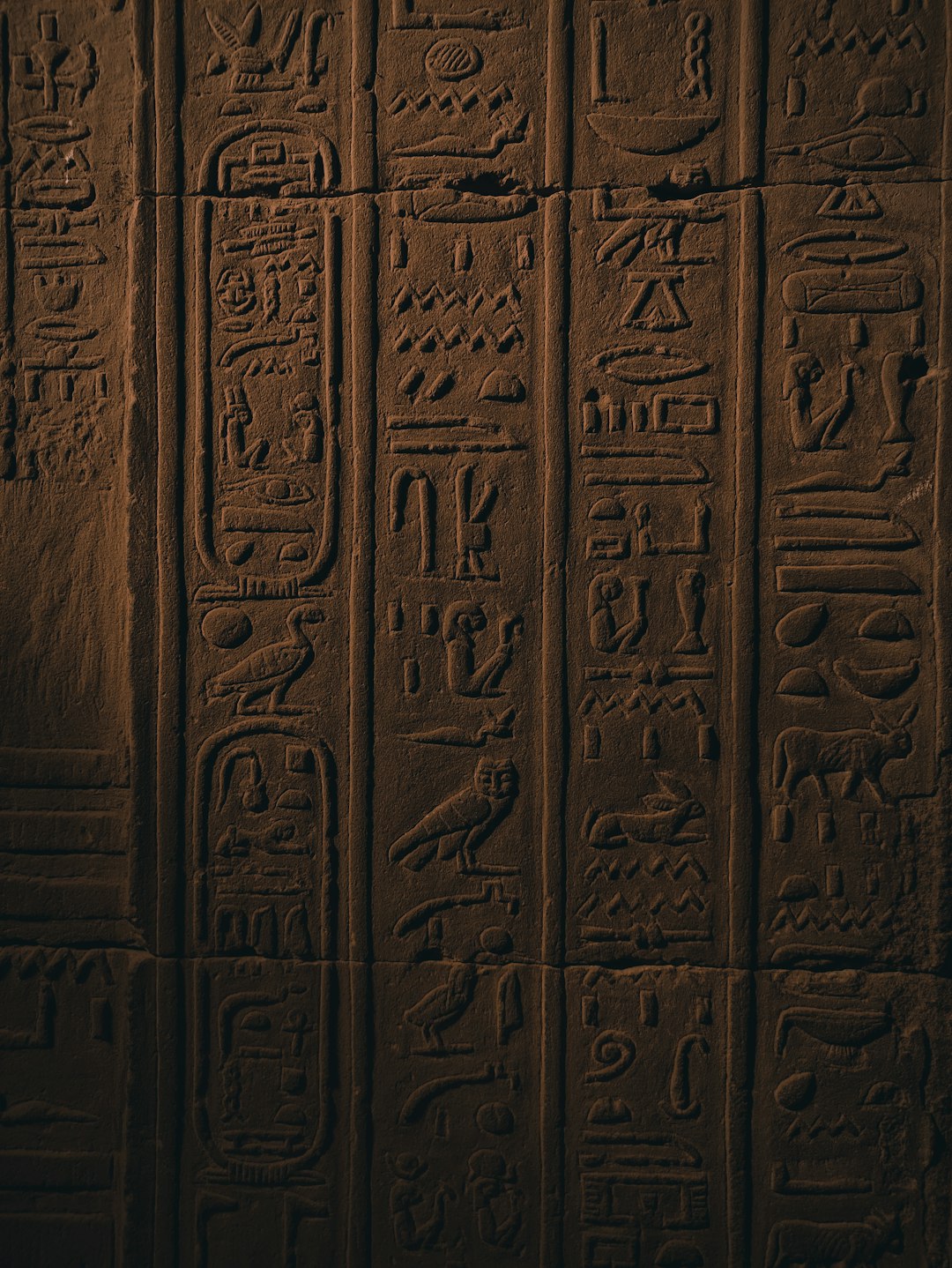 The Terror of Divine Judgment in Ancient Egypt (image credits: unsplash)