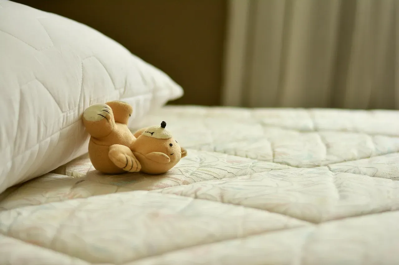 4. Signs of Bed Bugs on or Around the Mattress (Image Credits: Pixabay)