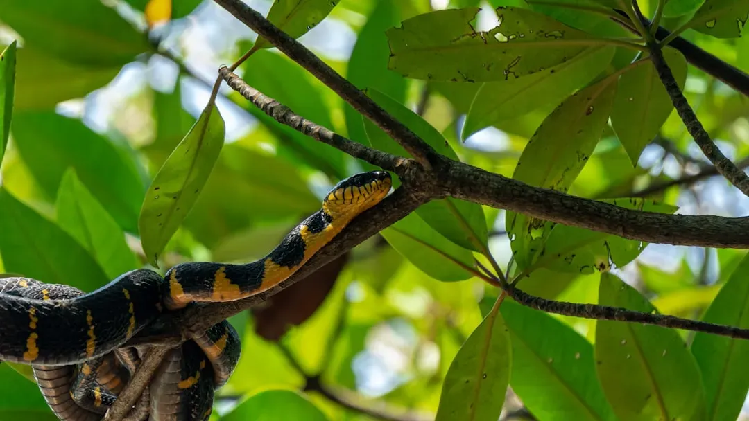 9. The Snake (Image Credits: Unsplash)