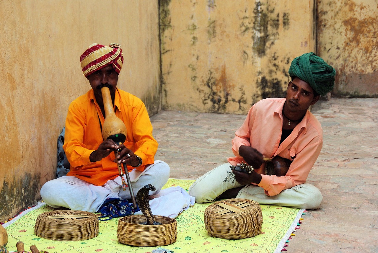 India's Diverse Landscapes Host Over 305 Snake Species (image credits: pixabay)