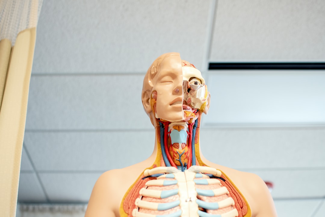 How Your Nervous System Responds to Controlled Breathing (image credits: unsplash)