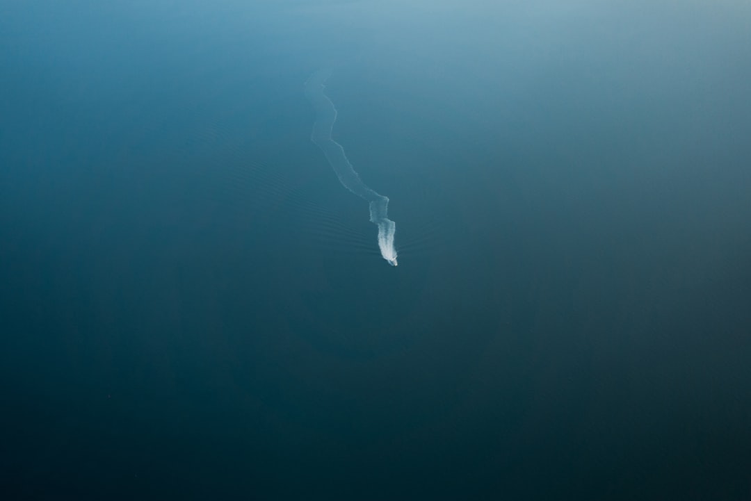 The Suffocating Fear of Deep Water (image credits: unsplash)