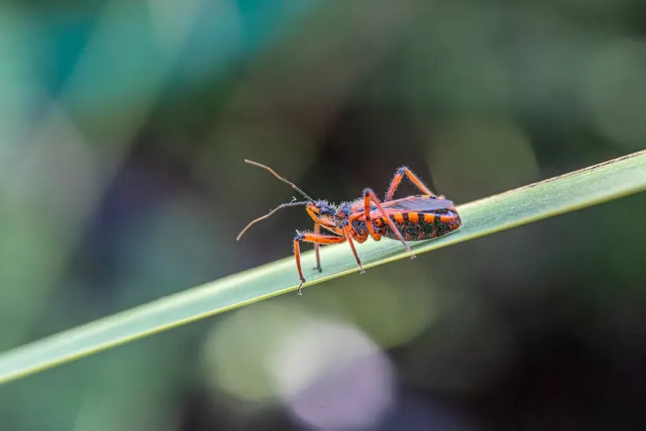 3. The Assassin Bug (Image Credits: Pexels)
