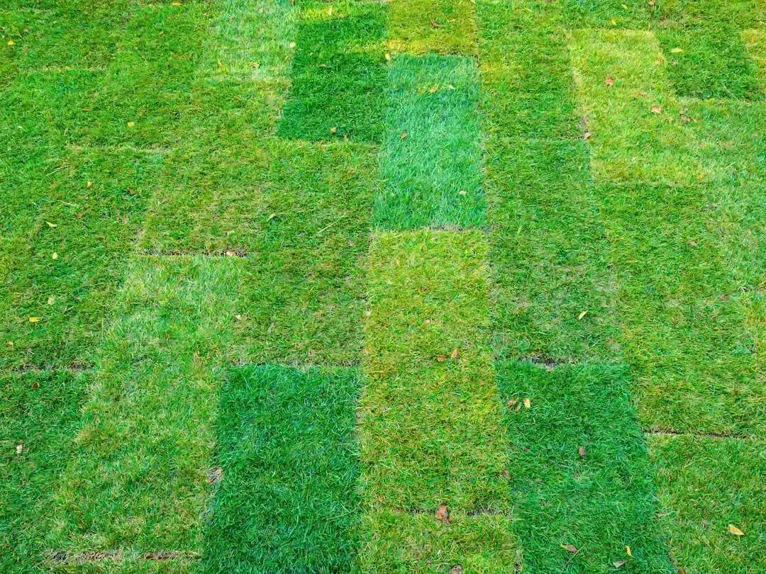 10. Mowing in the Same Pattern Every Single Time (Image Credits: Unsplash)