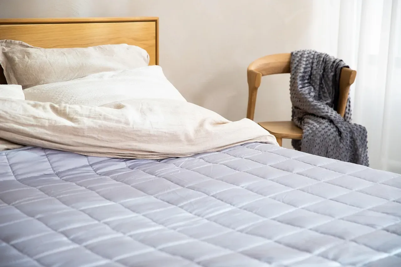 3. Signs of Bed Bugs Around the Mattress and Headboard (Image Credits: Pixabay)