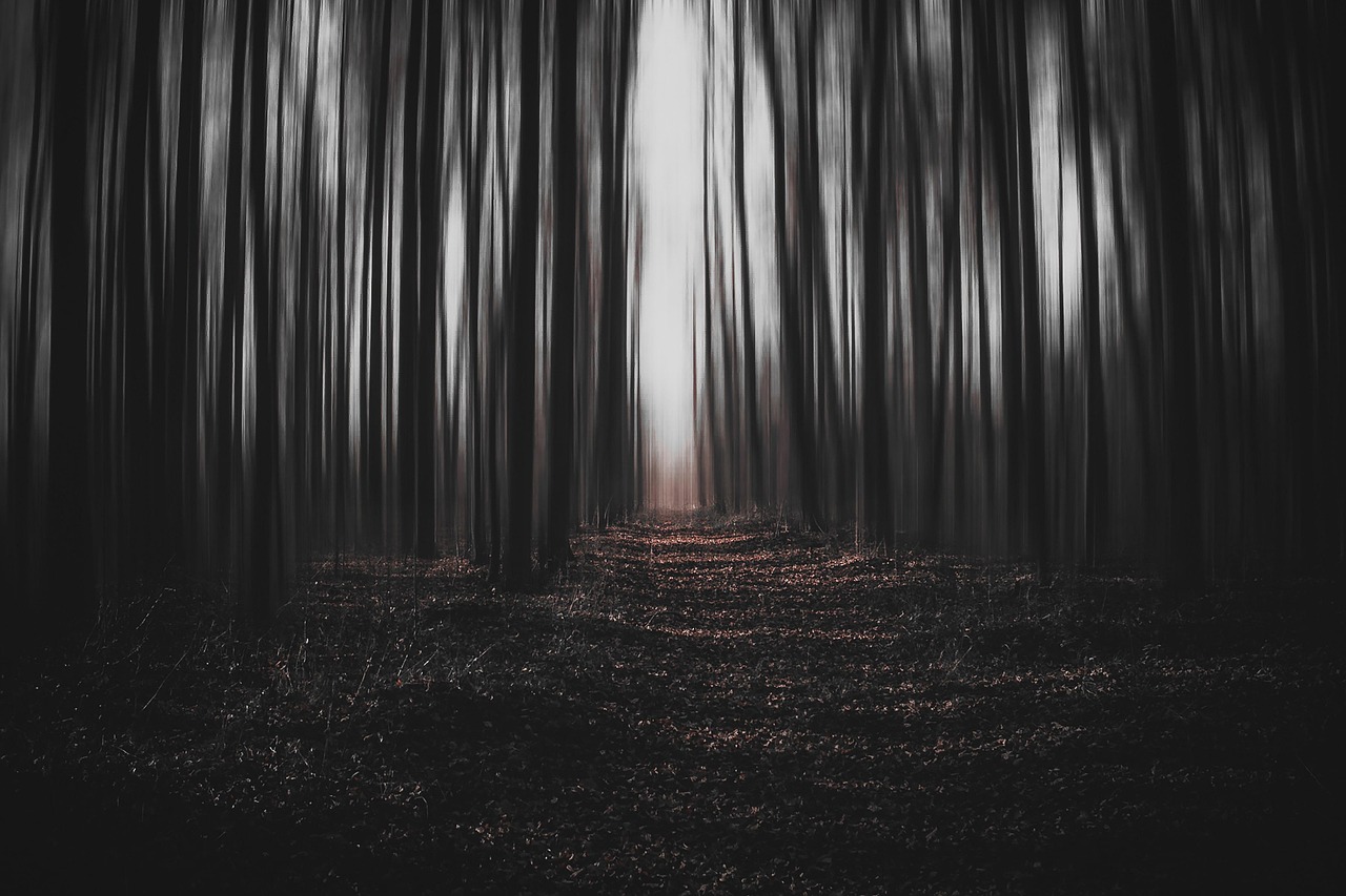 The Dark Unknown That Lurks at Night (image credits: pixabay)