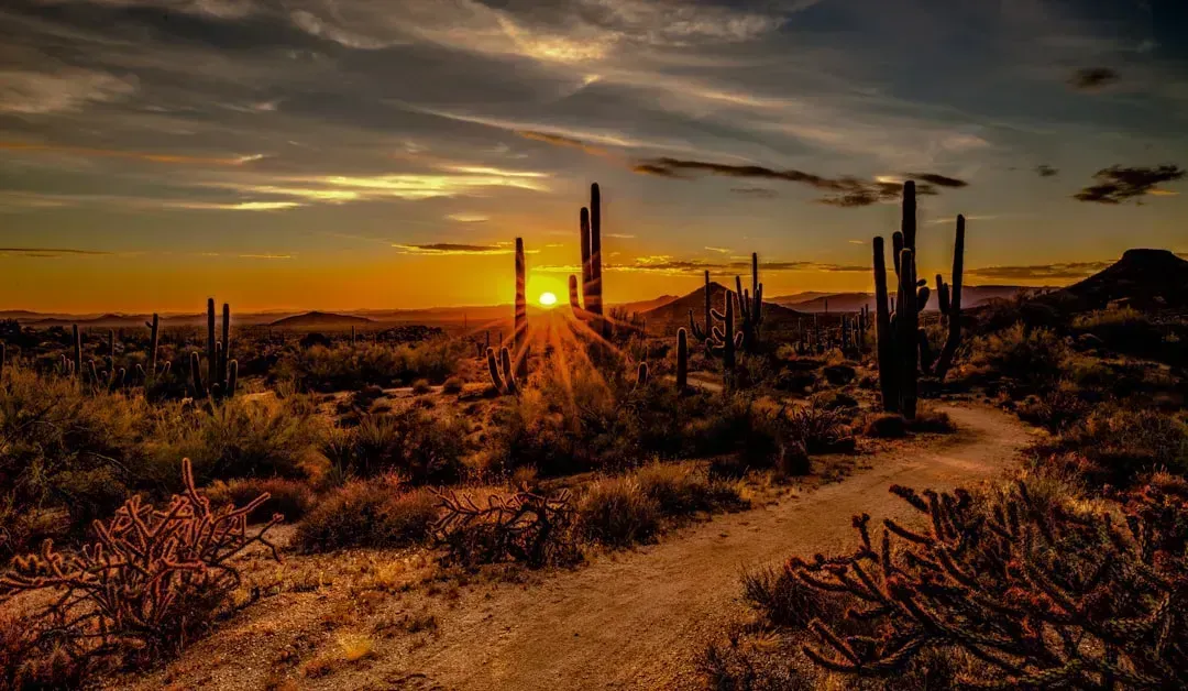 2. Scottsdale, Arizona: Desert Warmth With a Strong Senior Community (Image Credits: Unsplash)
