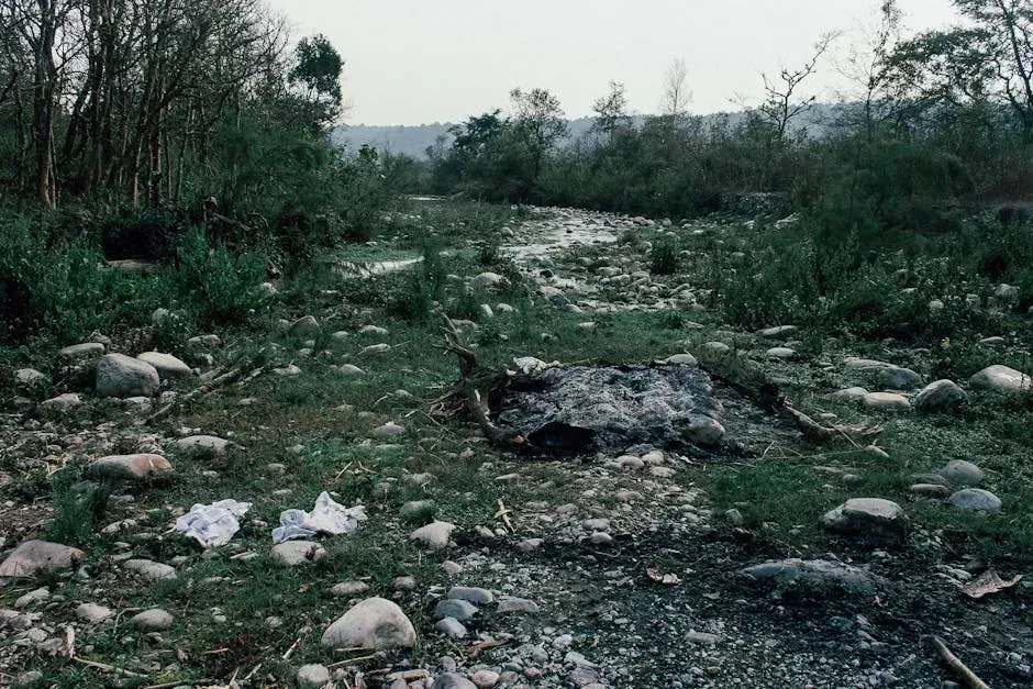 5. The Jonestown Massacre: 909 People in a Single Day (Image Credits: Pexels)