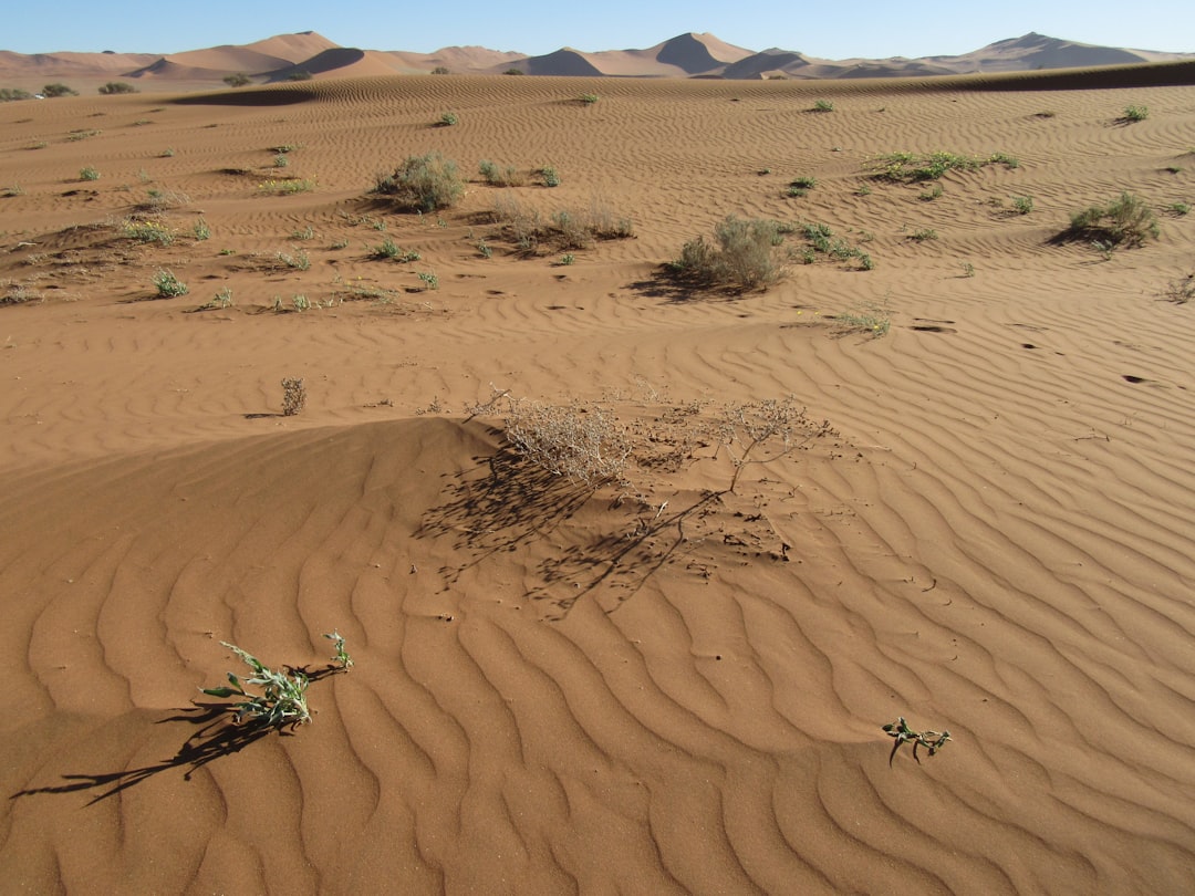 Utah's Desert Drought Delusion (image credits: Gallery Image)
