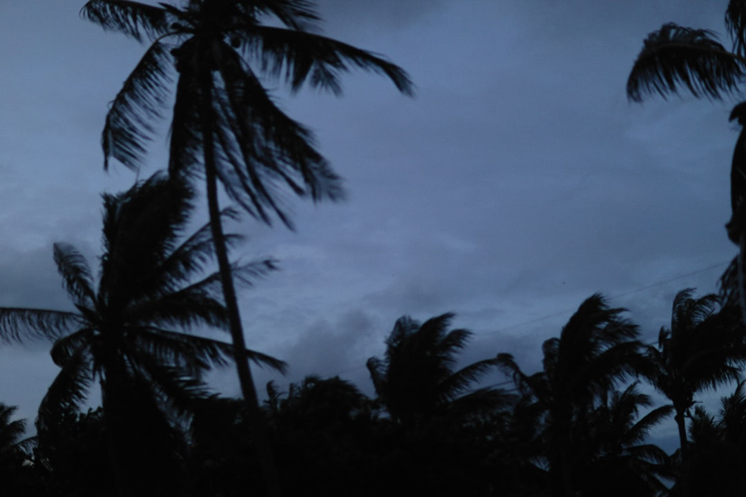 Caribbean Islands To See Early Impacts (Image Credits: Unsplash)