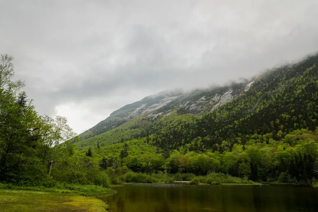 New Hampshire: Small Footprint, Strong Natural Buffer (Image Credits: Unsplash)