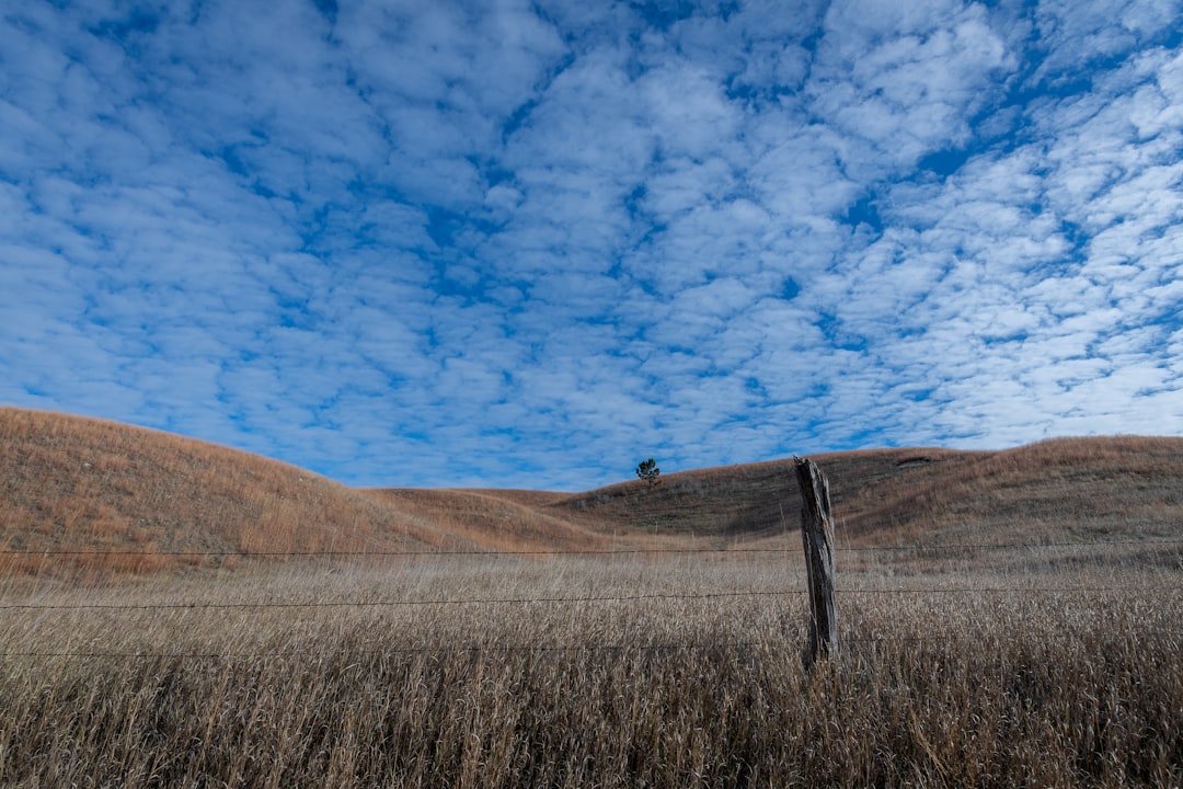 South Dakota's Unfounded Flooding Fears (image credits: unsplash)