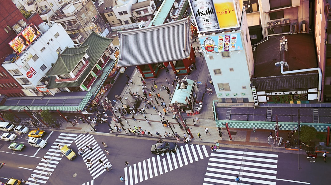 Tokyo: Sinking City in Earthquake Territory (image credits: unsplash)