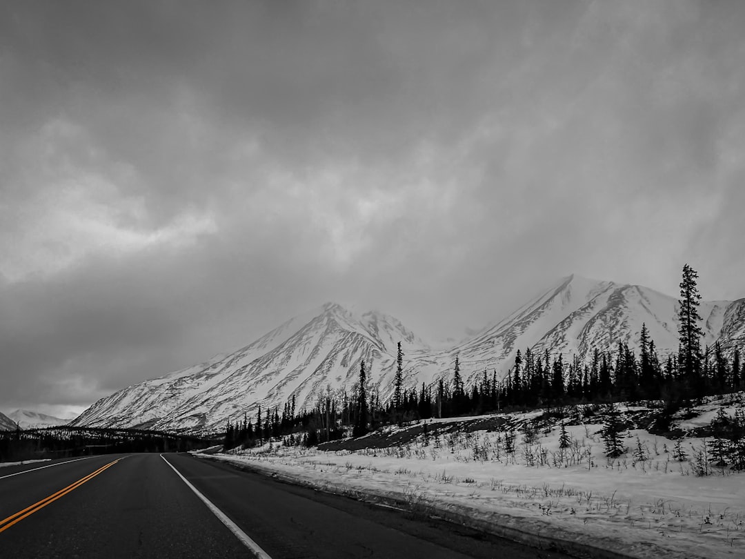 Into the Wild's Alaskan Wilderness - Denali National Park (image credits: unsplash)