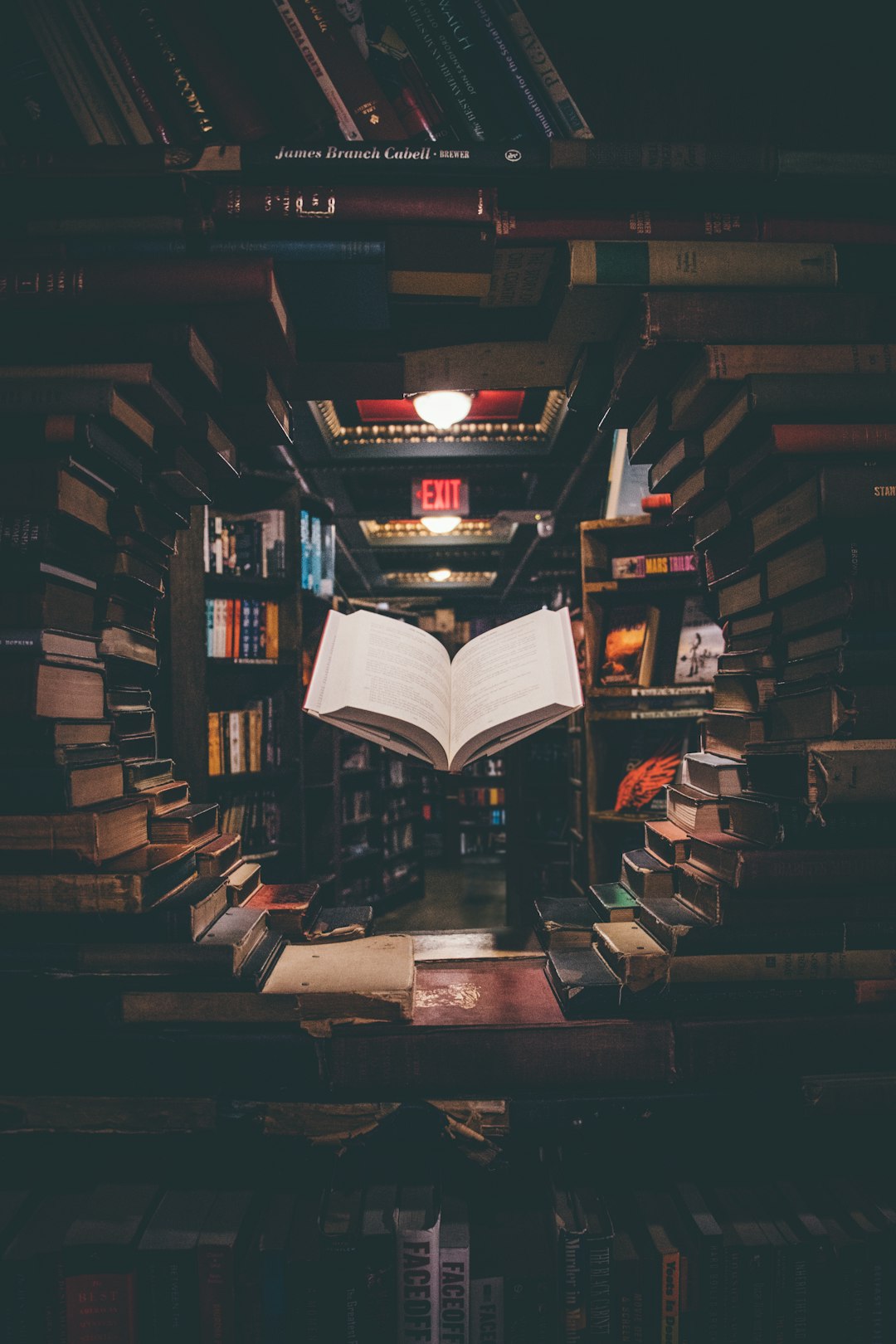 Literary Representations of Graceful Aging (image credits: unsplash)