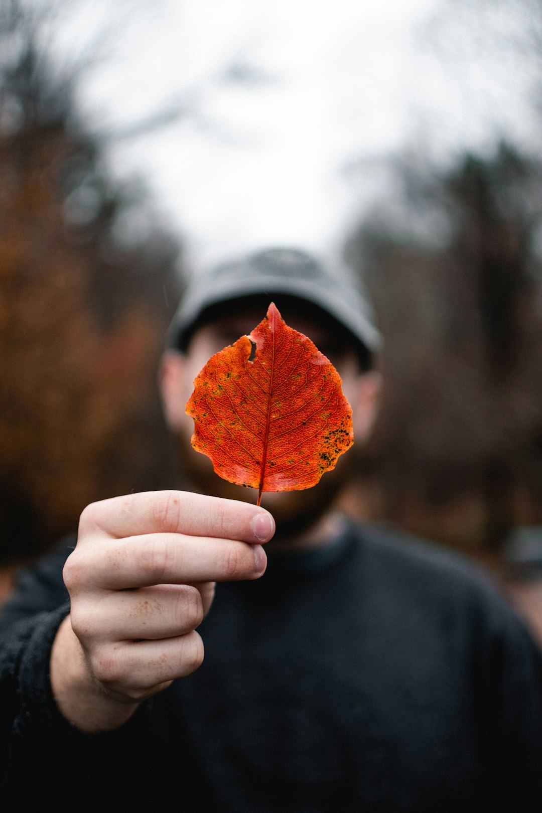 Using Weather and Seasonal Changes as Grounding Anchors (image credits: unsplash)