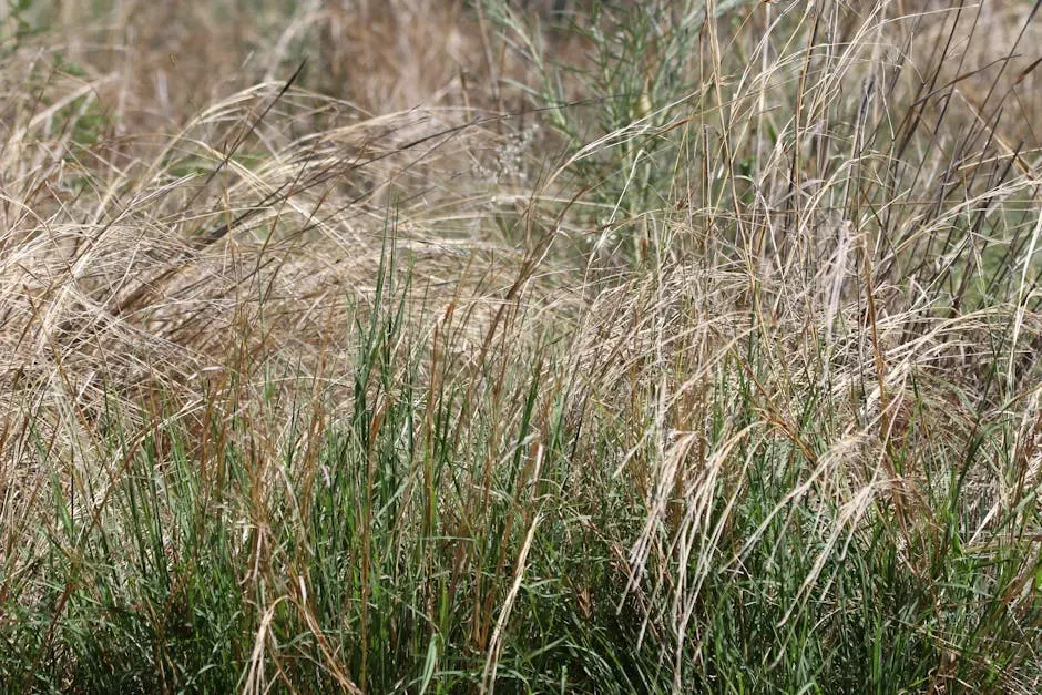 4. Leaving Large Clumps of Clippings on the Lawn (Image Credits: Pexels)