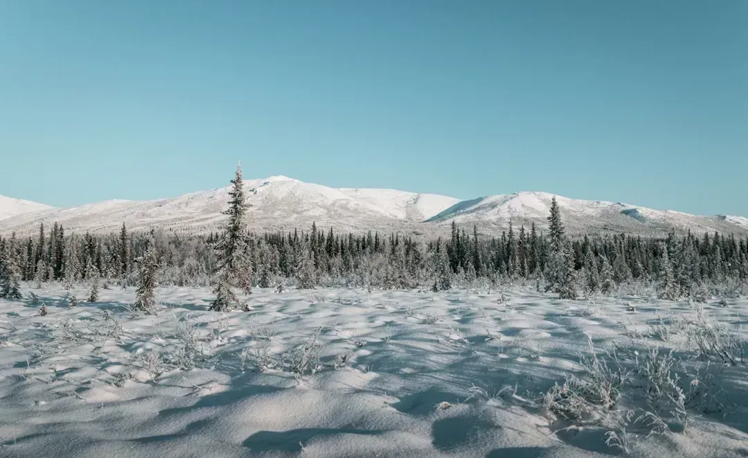 4. Alaska: Extreme Costs and Extreme Isolation (Image Credits: Unsplash)