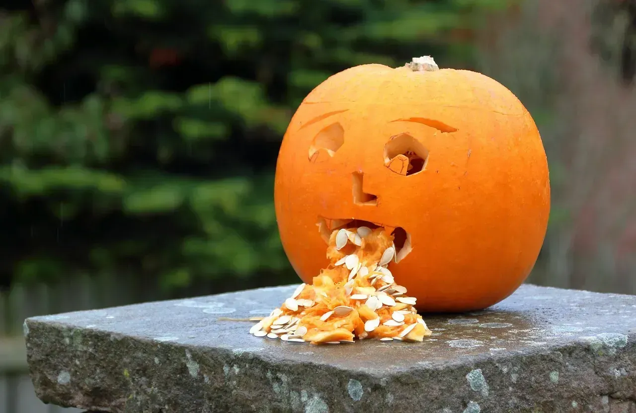 10. Fear of Vomiting or Getting Sick (Image Credits: Pixabay)