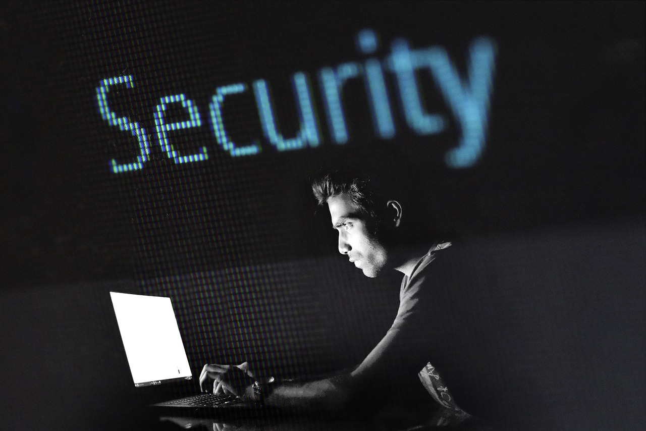 Digital Safety and Information Security (image credits: pixabay)