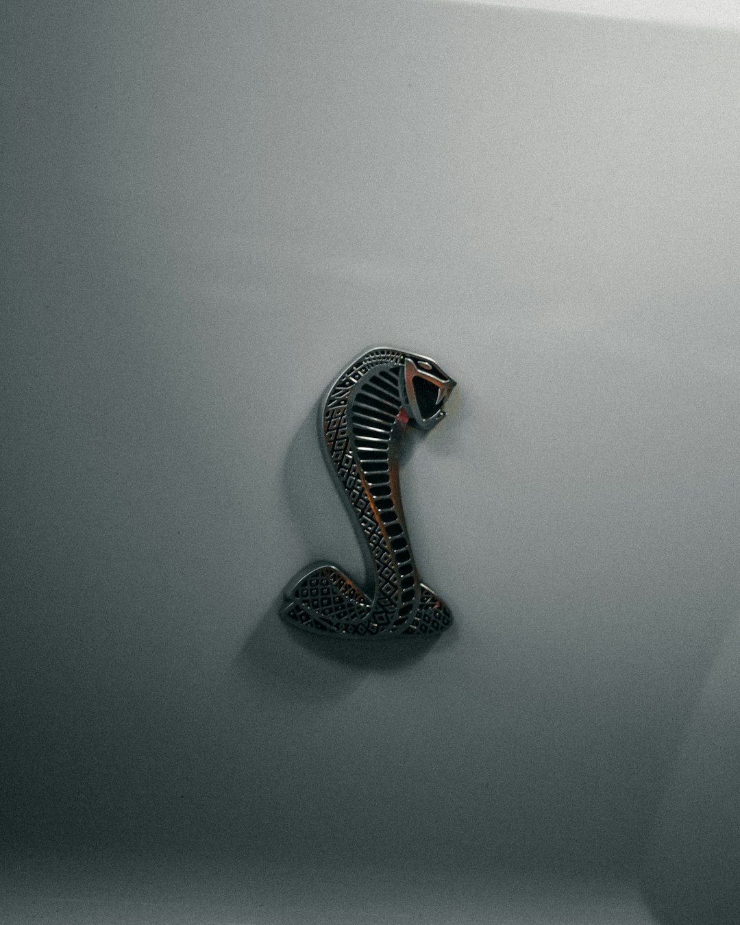 Modern Horror Cinema's Snake Exploitation (image credits: unsplash)