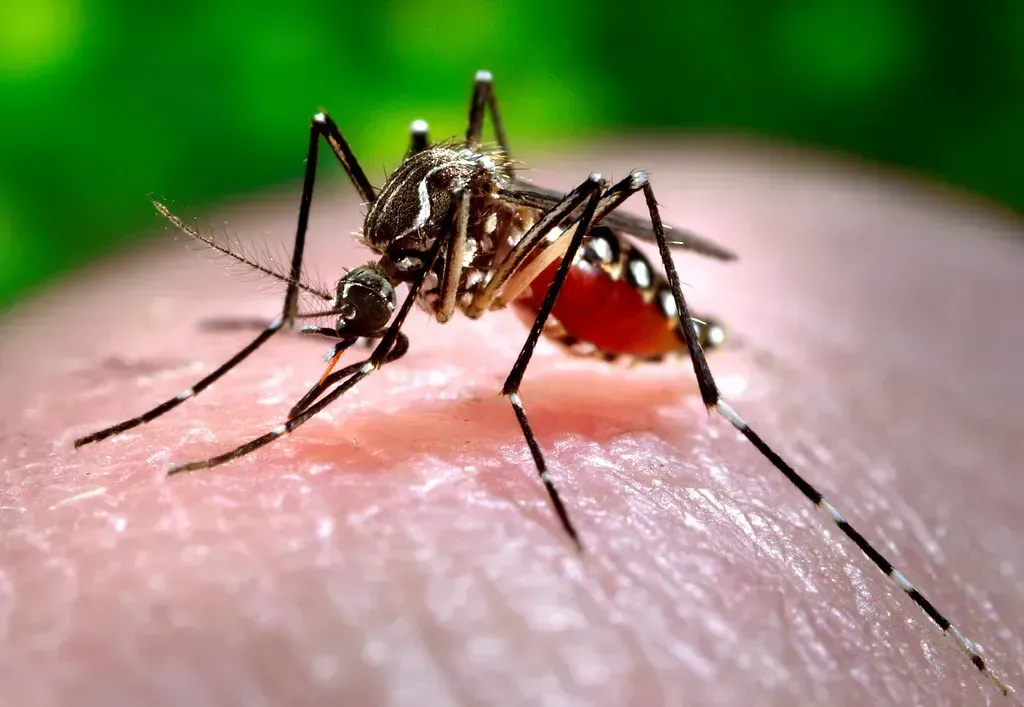The Mosquito: The Deadliest Animal on Earth (Oregon State University, Flickr, CC BY-SA 2.0)