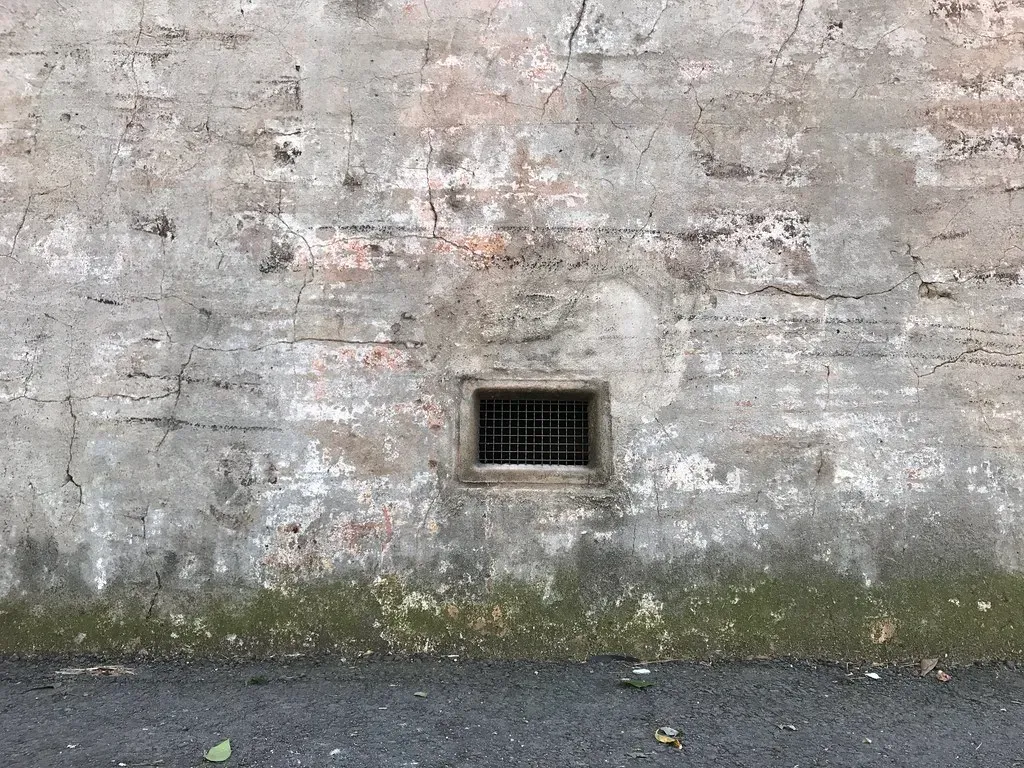 6. Visible Mold, Water Stains, or Peeling Wallpaper (Dushan Hanuska, Flickr, CC BY-SA 2.0)