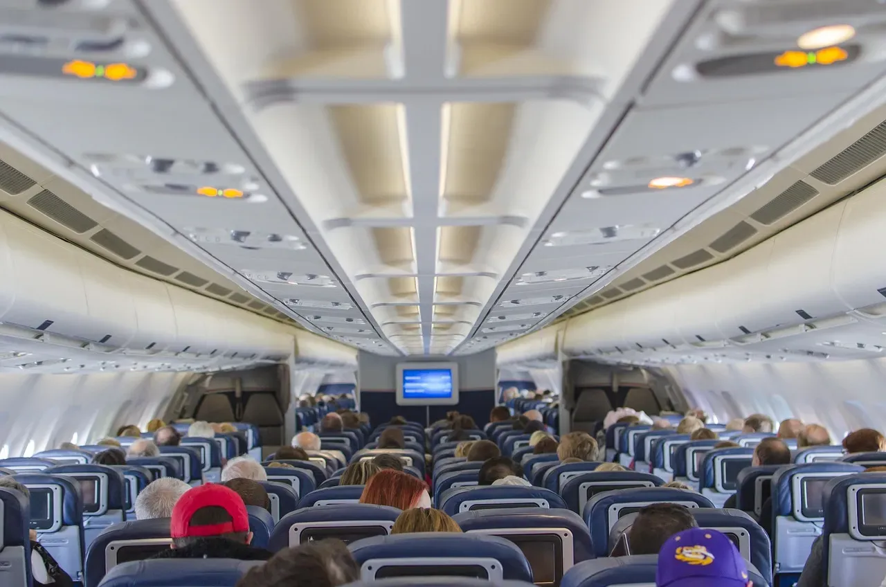 9. Follow Overhead Bin Etiquette Without Drama (Image Credits: Pixabay)
