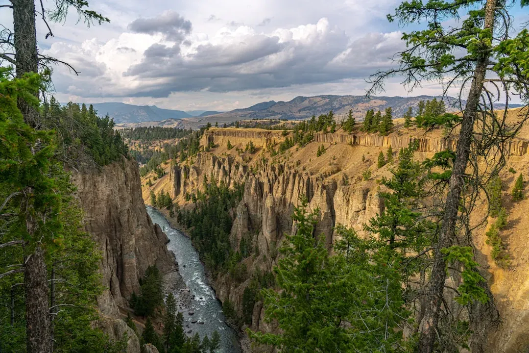 1. Wyoming - The Quiet Overachiever (Image Credits: Unsplash)