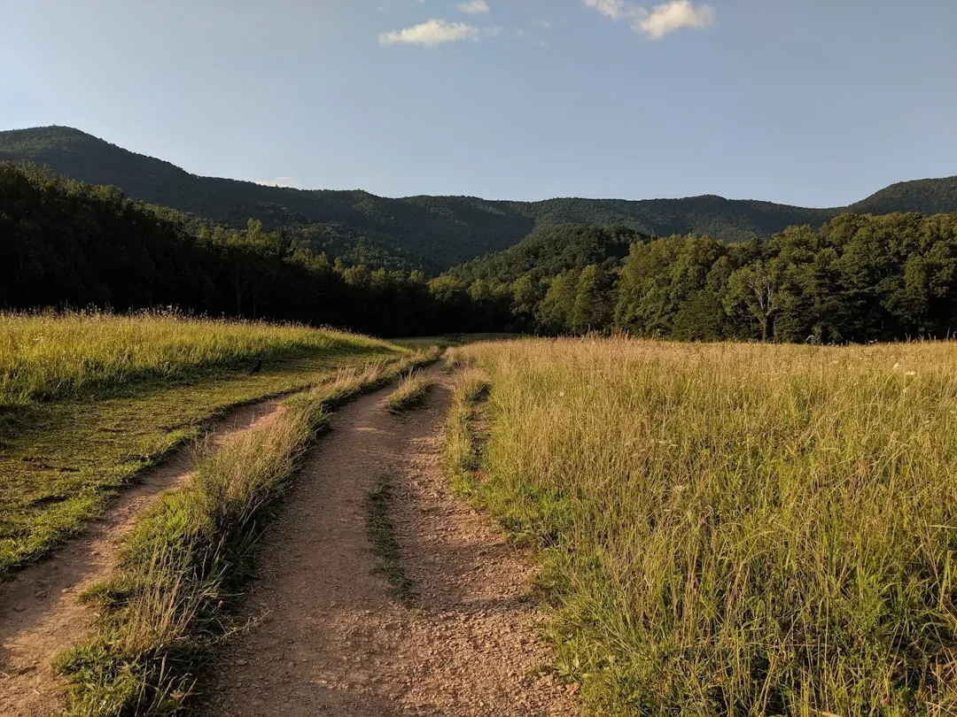 5. Tennessee - Low Costs, No Income Tax, Big Culture (Image Credits: Unsplash)