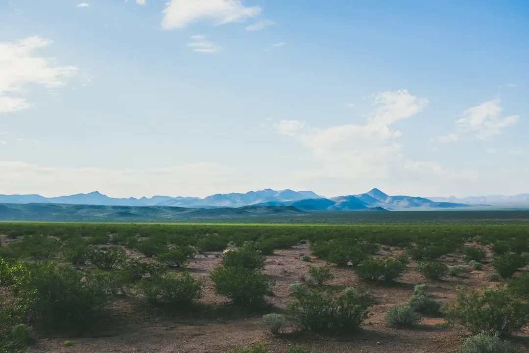 8. Nevada - Taxes Zero, Amenities High (Image Credits: Unsplash)