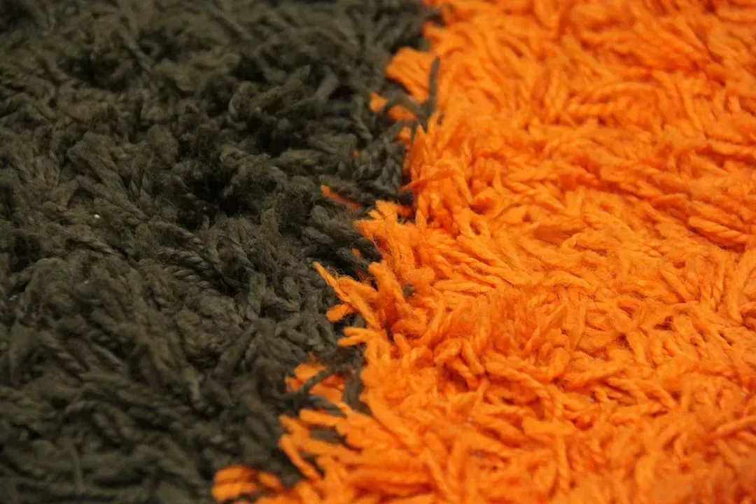 5. Shag Carpet in Every Shade of Burnt Orange (Image Credits: Unsplash)