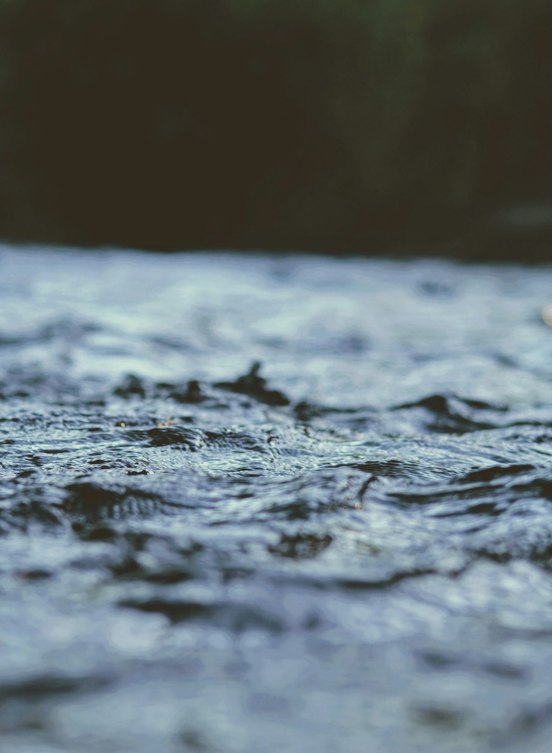 Using Natural Elements as Focal Points for Attention (image credits: unsplash)