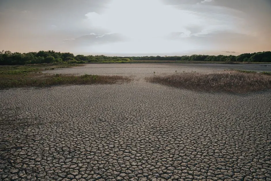 8. Compound heat and dryness events are becoming harder to separate (Image Credits: Pexels)