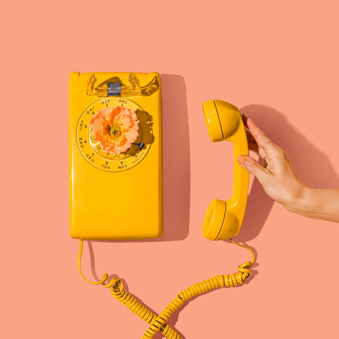 Creating Your Emergency Contact Network (image credits: unsplash)