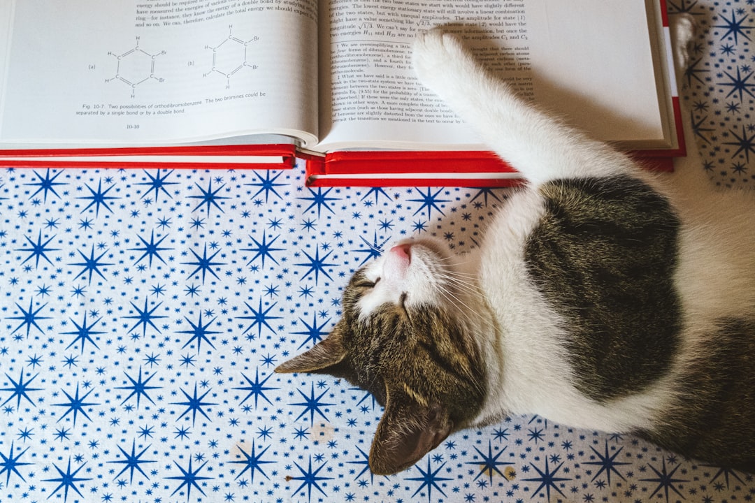 You Can Actually Learn New Skills While Sleeping (image credits: unsplash)