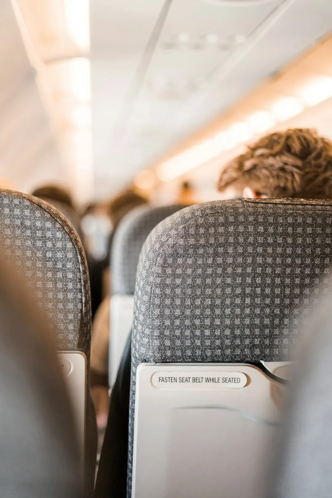 Conclusion (Image Credits: Unsplash)

anxiety of asking for a seatbelt extender