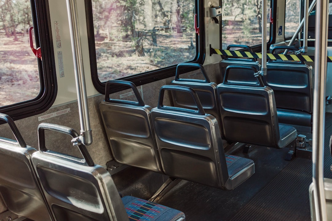 Transportation Beyond Airlines (image credits: unsplash)