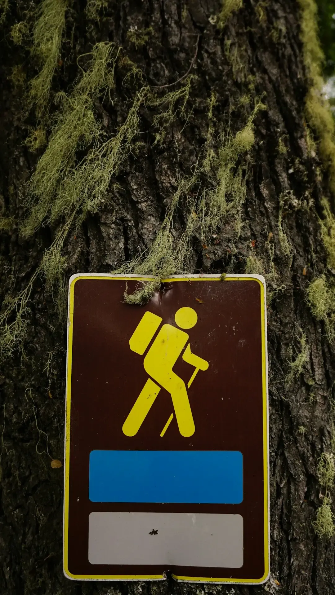 Safety Considerations That Apply To Everyone (Image Credits: Unsplash)