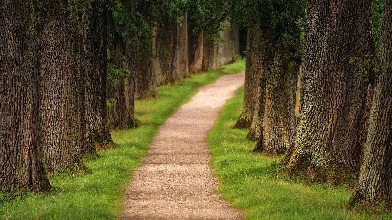 The Trail Is Waiting For You (Image Credits: Pixabay)