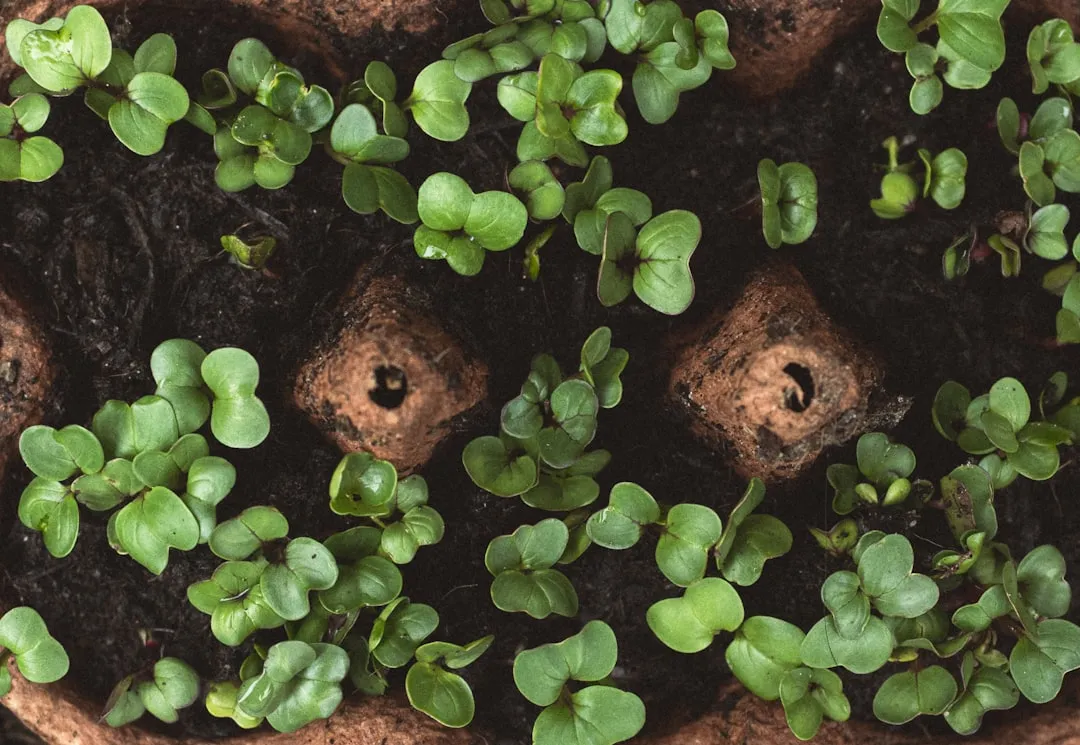 Go Easy on the Nitrogen (Image Credits: Unsplash)
