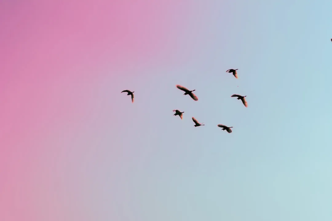 The Silence Is the First Sign Something Has Changed (Image Credits: Unsplash)