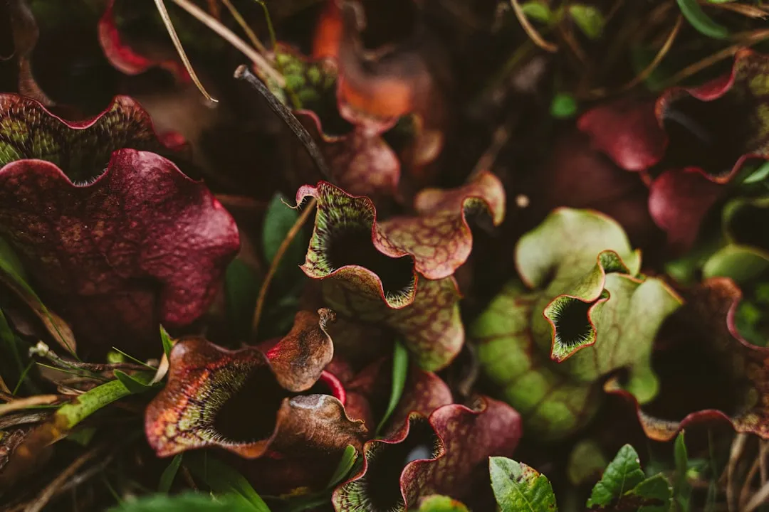 The Concept of Plant Mimicry and Why It Matters (Image Credits: Unsplash)