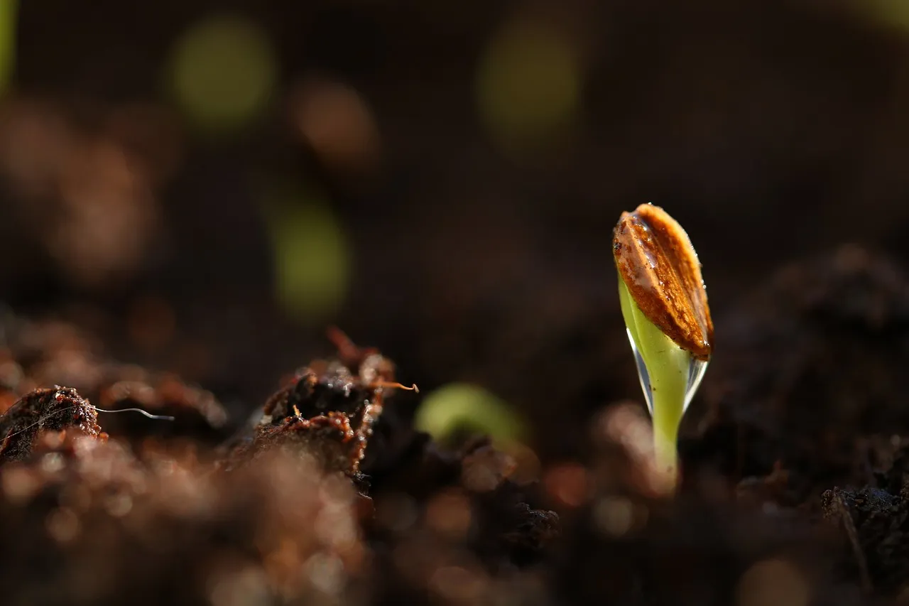 Timing Matters: Retention Time in the Gut (Image Credits: Pixabay)