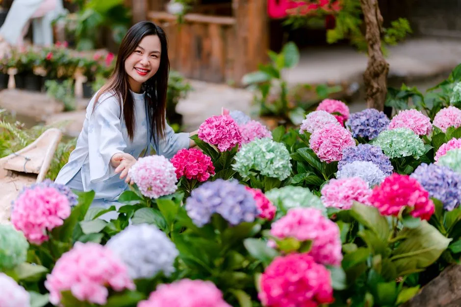 What the AI Got Right (and What It Missed) (Image Credits: Pexels)