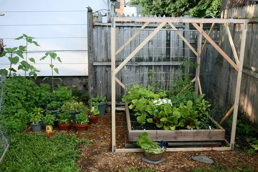 Victory Gardens Across the Globe: A Worldwide Movement (magnusdigity, Flickr, CC BY-SA 2.0)