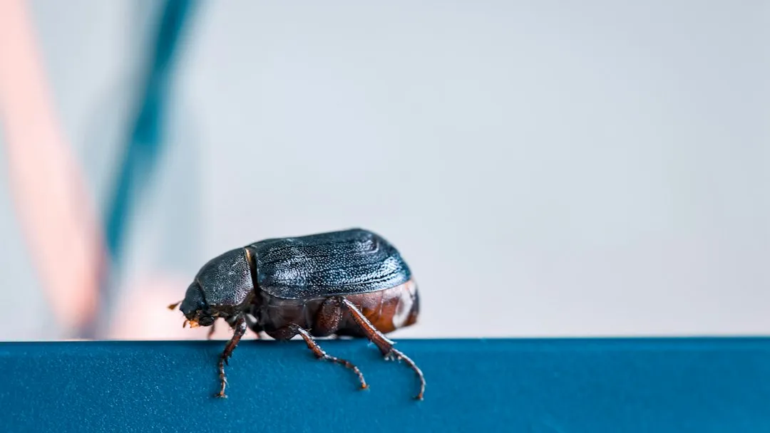 Clean Appearance Means Almost Nothing (Image Credits: Unsplash)