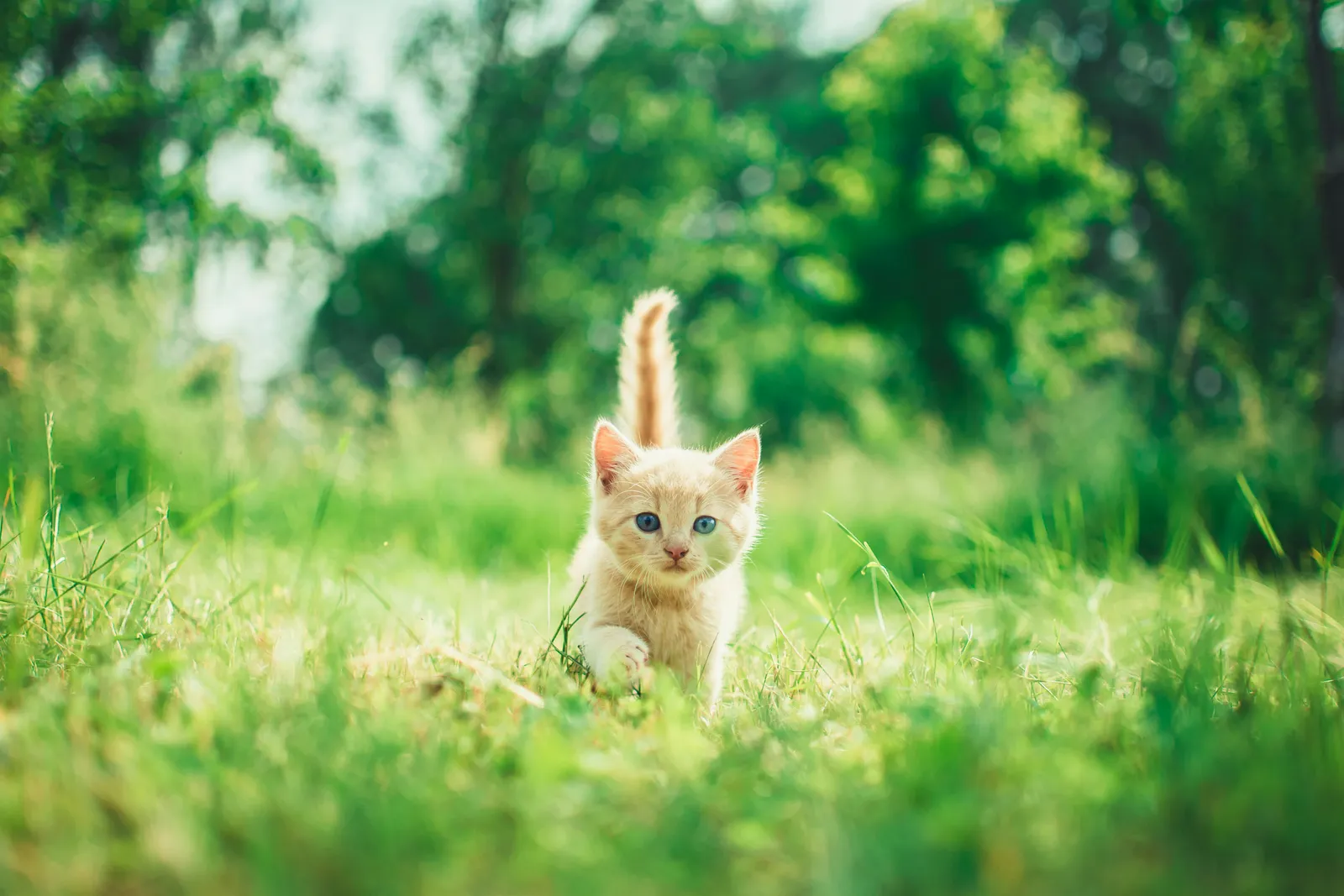 It Has a Name: Food Caching (Image Credits: Unsplash)